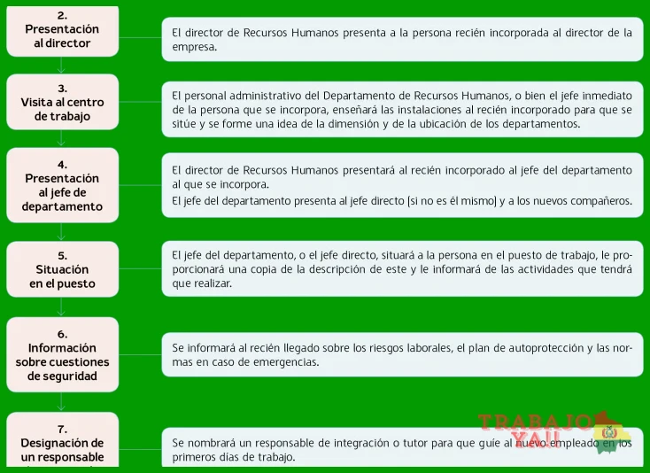 Conocimientos técnicos y stack tecnológico que debes repasar