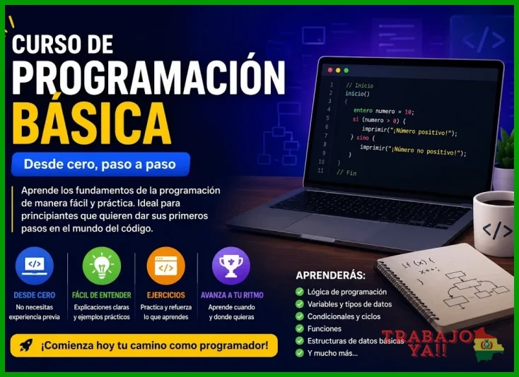Curso completo de lógica de programación básica con ejercicios prácticos