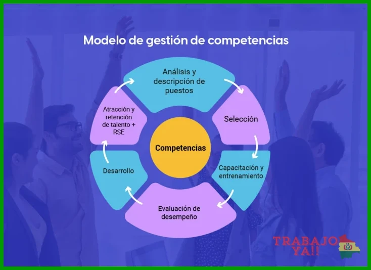 Experiencia laboral mínima exigida en el rubro