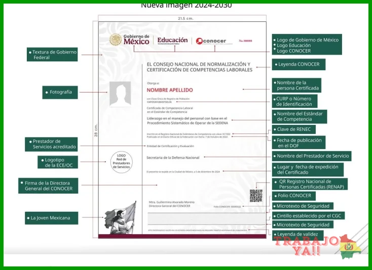 Identificación oficial vigente y documentos académicos previos